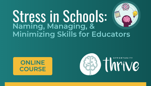 Stress in Schools: Naming, Managing, & Minimizing Skills for Educators SE26_101349